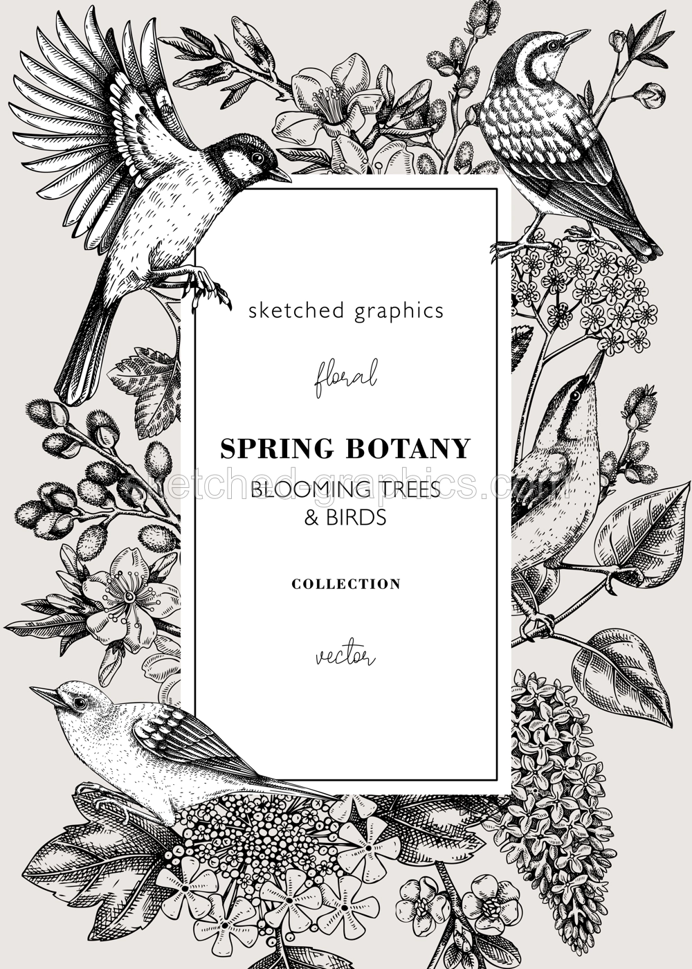 Spring birds card or invitation template. Vintage frame designs with birds, flowers, leaves and blooming tree branches. Almond, willow, rowan, willow, lilac, cherry blossom floral sketches for prints  Illustration
